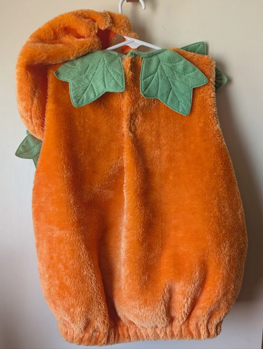 N/A adorable orange